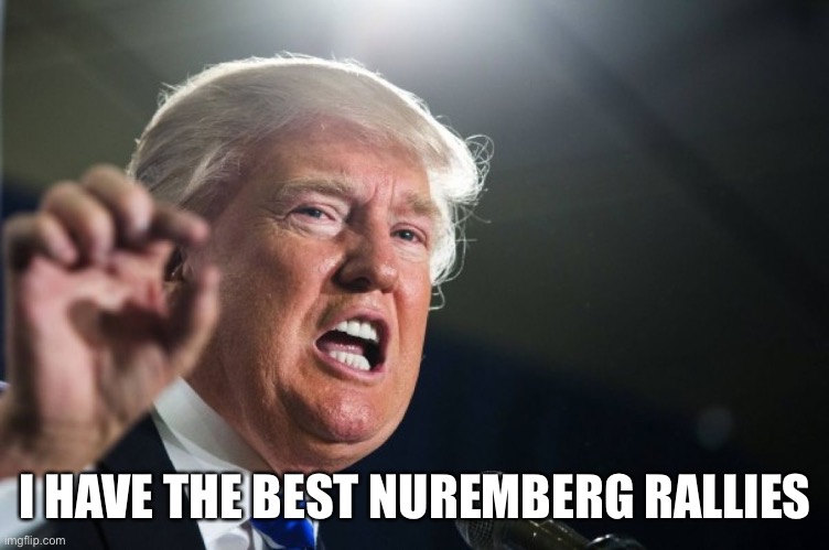 donald trump | I HAVE THE BEST NUREMBERG RALLIES | image tagged in donald trump | made w/ Imgflip meme maker