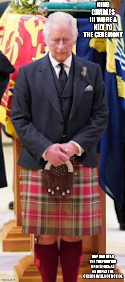 King in Skirt | KING CHARLES III WORE A KILT TO THE CEREMONY; ONE CAN READ THE TREPIDATION ON HIS FACE AS HE HOPES THE OTHERS WILL NOT NOTICE | image tagged in memes,politics,uk | made w/ Imgflip meme maker