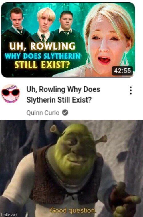 Why does it? | image tagged in shrek good question,harry potter | made w/ Imgflip meme maker