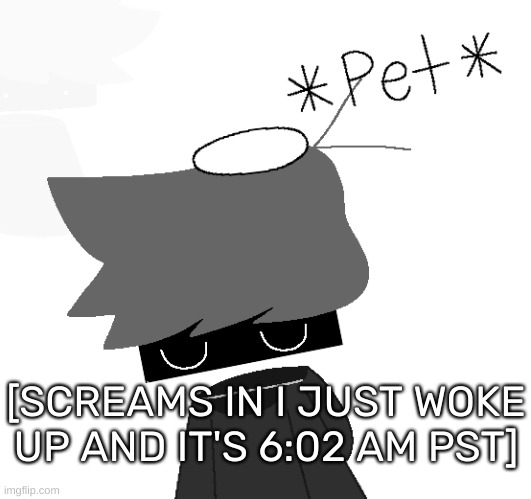 [It might not be tho-] | [SCREAMS IN I JUST WOKE UP AND IT'S 6:02 AM PST] | image tagged in shadow rien remastered,idk,stuff,s o u p,carck | made w/ Imgflip meme maker