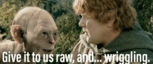 High Quality Gollum likes it raw Blank Meme Template