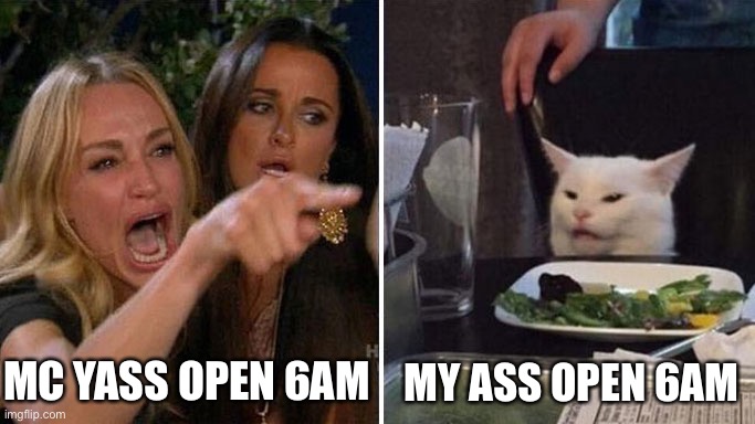 Angry lady cat | MC YASS OPEN 6AM; MY ASS OPEN 6AM | image tagged in angry lady cat | made w/ Imgflip meme maker