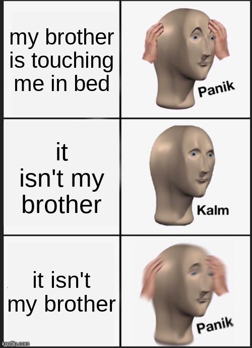 well shit | my brother is touching me in bed; it isn't my brother; it isn't my brother | image tagged in memes,panik kalm panik | made w/ Imgflip meme maker