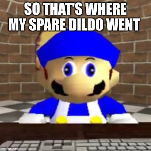 Smg4 derp | SO THAT'S WHERE MY SPARE DILDO WENT | image tagged in smg4 derp | made w/ Imgflip meme maker
