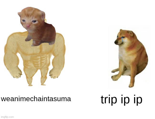 Buff Doge vs. Cheems Meme | weanimechaintasuma trip ip ip | image tagged in memes,buff doge vs cheems | made w/ Imgflip meme maker