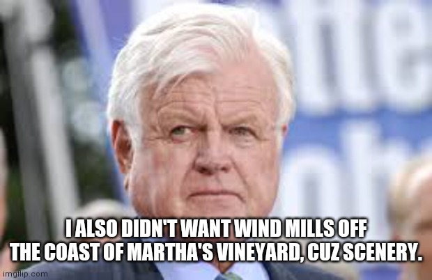ted kennedy | I ALSO DIDN'T WANT WIND MILLS OFF THE COAST OF MARTHA'S VINEYARD, CUZ SCENERY. | image tagged in ted kennedy | made w/ Imgflip meme maker