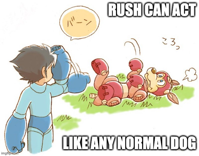 Mega Man Bullet Play | RUSH CAN ACT; LIKE ANY NORMAL DOG | image tagged in dogs,megaman,rush,memes | made w/ Imgflip meme maker