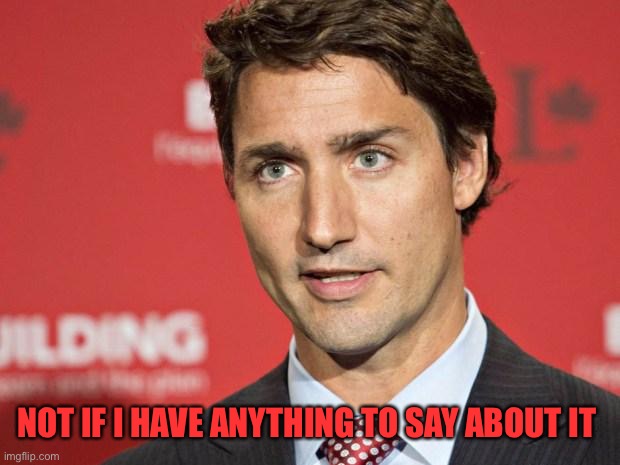 Trudeau | NOT IF I HAVE ANYTHING TO SAY ABOUT IT | image tagged in trudeau | made w/ Imgflip meme maker
