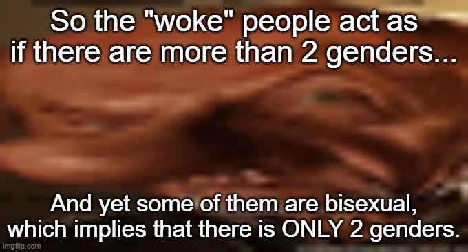 It's like saying 1+1=2 while still believing 1+1=3. | So the "woke" people act as if there are more than 2 genders... And yet some of them are bisexual, which implies that there is ONLY 2 genders. | image tagged in finger dingle eyebrow raise | made w/ Imgflip meme maker