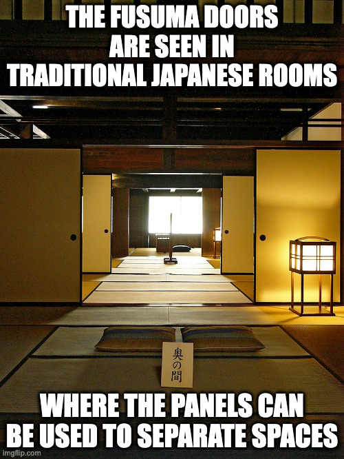 Fusuma | THE FUSUMA DOORS ARE SEEN IN TRADITIONAL JAPANESE ROOMS; WHERE THE PANELS CAN BE USED TO SEPARATE SPACES | image tagged in doors,memes | made w/ Imgflip meme maker