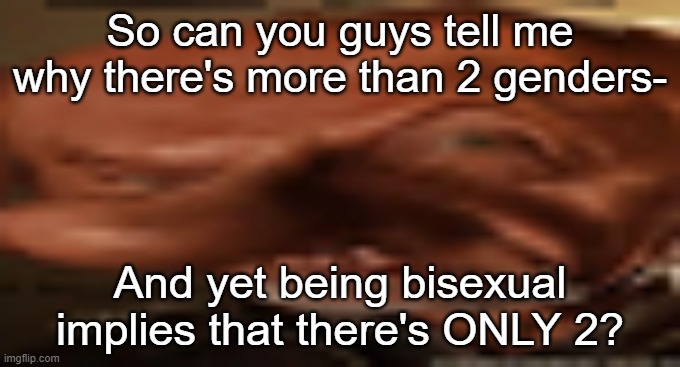 Not being rude or anything, just a genuine question. | So can you guys tell me why there's more than 2 genders-; And yet being bisexual implies that there's ONLY 2? | image tagged in finger dingle eyebrow raise | made w/ Imgflip meme maker