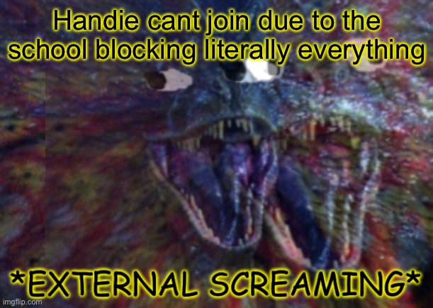 Public External Screaming | Handie cant join due to the school blocking literally everything | image tagged in public external screaming | made w/ Imgflip meme maker