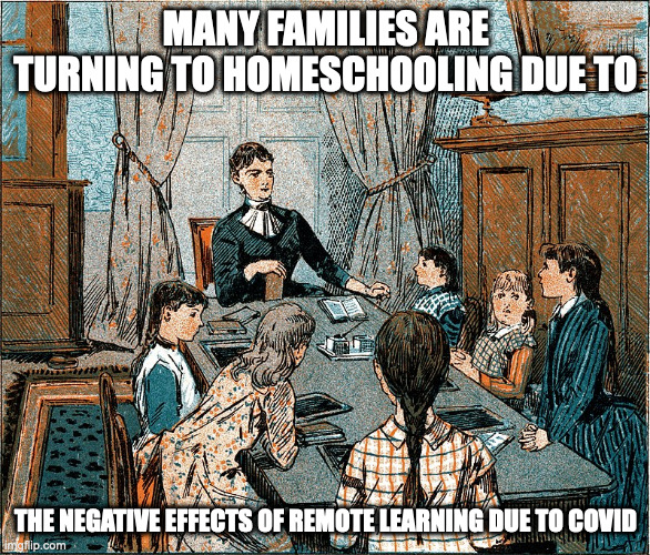 Homeschooling as an Alternative | MANY FAMILIES ARE TURNING TO HOMESCHOOLING DUE TO; THE NEGATIVE EFFECTS OF REMOTE LEARNING DUE TO COVID | image tagged in homeschool,school,memes | made w/ Imgflip meme maker