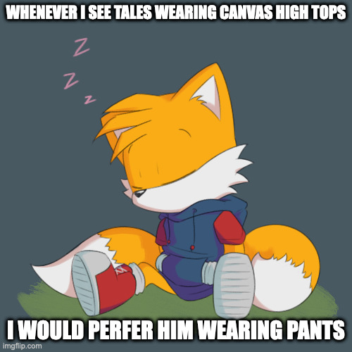 Tales Sleeping | WHENEVER I SEE TALES WEARING CANVAS HIGH TOPS; I WOULD PERFER HIM WEARING PANTS | image tagged in tales,sonic the hedgehog,memes | made w/ Imgflip meme maker