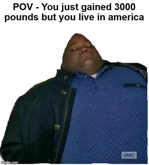 Makes sense | POV - You just gained 3000 pounds but you live in america | image tagged in huell money | made w/ Imgflip meme maker