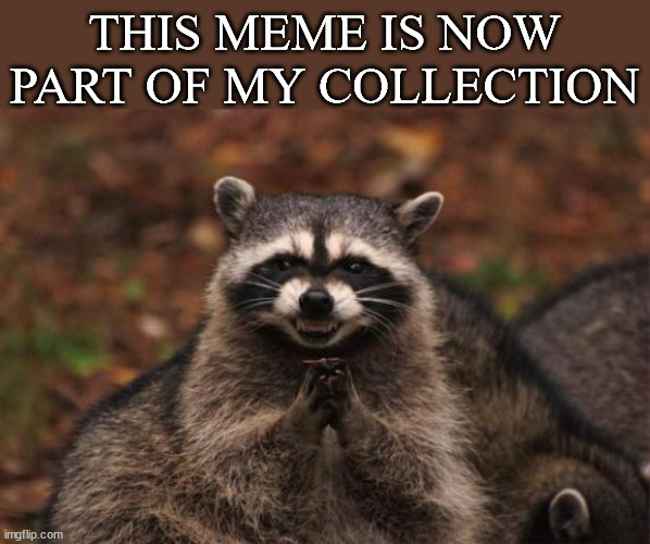 My Meme | THIS MEME IS NOW PART OF MY COLLECTION | image tagged in evil genius racoon | made w/ Imgflip meme maker