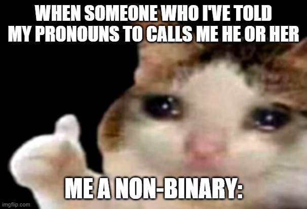 T-T | WHEN SOMEONE WHO I'VE TOLD MY PRONOUNS TO CALLS ME HE OR HER; ME A NON-BINARY: | image tagged in sad cat thumbs up | made w/ Imgflip meme maker