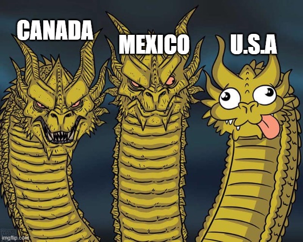 We all know the idiot out of the group |  MEXICO; U.S.A; CANADA | image tagged in three dragons,america,stupid people,funny memes,america vs canada | made w/ Imgflip meme maker