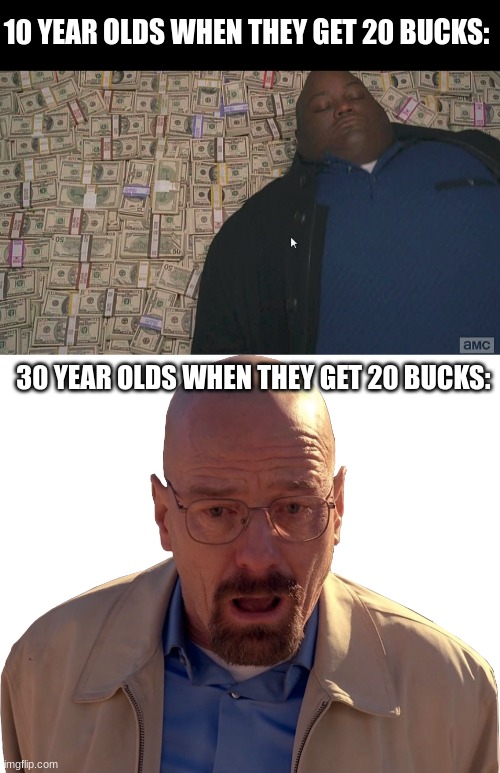 rolling in that 20 | 10 YEAR OLDS WHEN THEY GET 20 BUCKS:; 30 YEAR OLDS WHEN THEY GET 20 BUCKS: | image tagged in fat guy laying on money,walter white break down,2022,mud | made w/ Imgflip meme maker