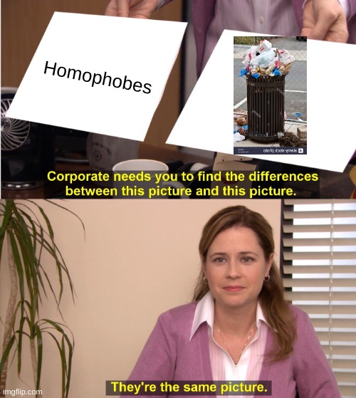 They're The Same Picture | Homophobes | image tagged in memes,they're the same picture | made w/ Imgflip meme maker