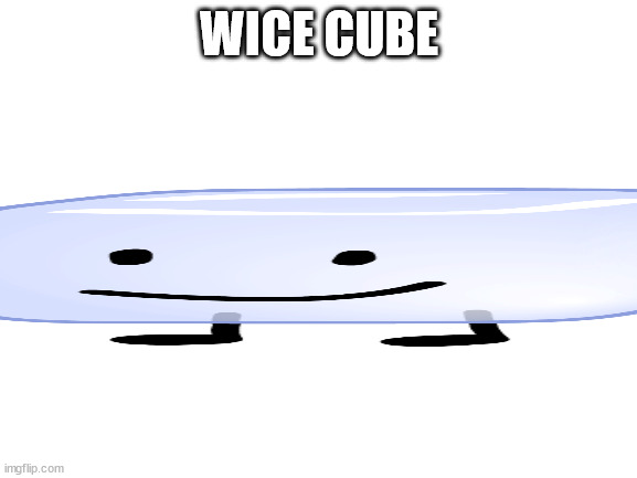 Blank White Template | WICE CUBE | image tagged in blank white template | made w/ Imgflip meme maker