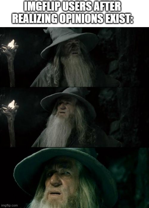 like bro everyone have their own opinion on stuff | IMGFLIP USERS AFTER REALIZING OPINIONS EXIST: | image tagged in memes,confused gandalf | made w/ Imgflip meme maker