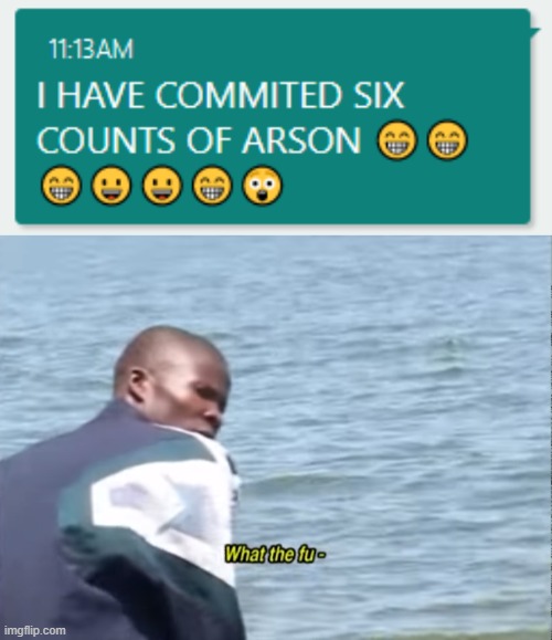 I HAVE COMMITED SIX COUNTS OF ARSON | image tagged in what the fu- | made w/ Imgflip meme maker