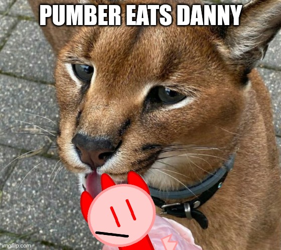 Yes i said the d wodr | PUMBER EATS DANNY | image tagged in pumber | made w/ Imgflip meme maker