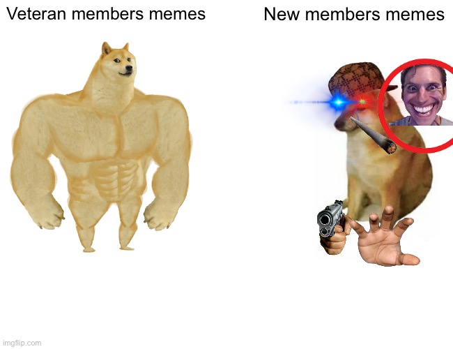 Memes | Veteran members memes; New members memes | image tagged in memes,buff doge vs cheems | made w/ Imgflip meme maker