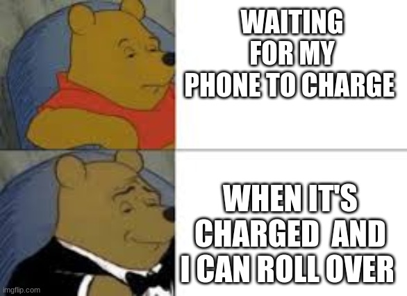 You know what I am Talking about | WAITING FOR MY PHONE TO CHARGE; WHEN IT'S CHARGED  AND I CAN ROLL OVER | image tagged in memes | made w/ Imgflip meme maker