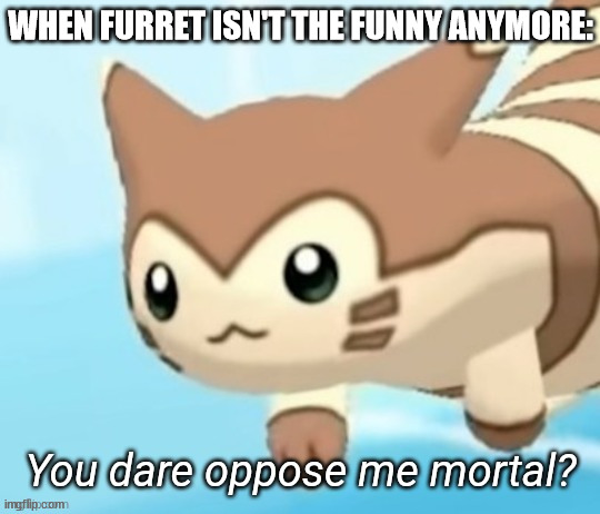 Furret you dare oppose me mortal? | WHEN FURRET ISN'T THE FUNNY ANYMORE: | image tagged in furret you dare oppose me mortal | made w/ Imgflip meme maker