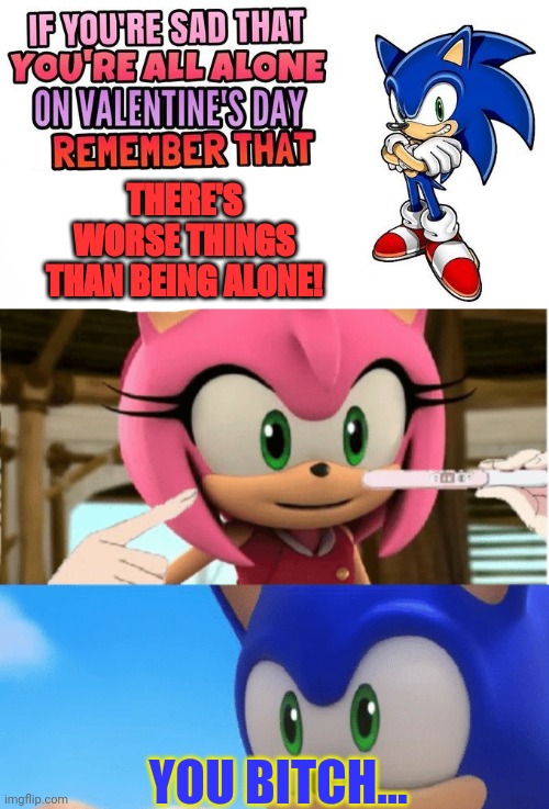Sonic problems | THERE'S WORSE THINGS THAN BEING ALONE! YOU BITCH... | image tagged in sonic,sonic the hedgehog,amy rose,pregnancy test,this is not okie dokie | made w/ Imgflip meme maker