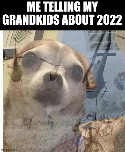 the deaths the horrors | ME TELLING MY GRANDKIDS ABOUT 2022 | image tagged in ptsd chihuahua | made w/ Imgflip meme maker