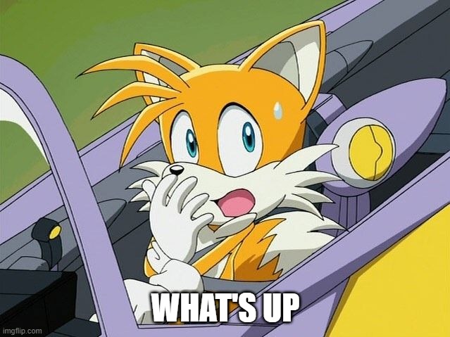 WHAT'S UP | image tagged in tails | made w/ Imgflip meme maker