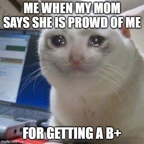 Crying cat | ME WHEN MY MOM SAYS SHE IS PROWD OF ME; FOR GETTING A B+ | image tagged in crying cat | made w/ Imgflip meme maker