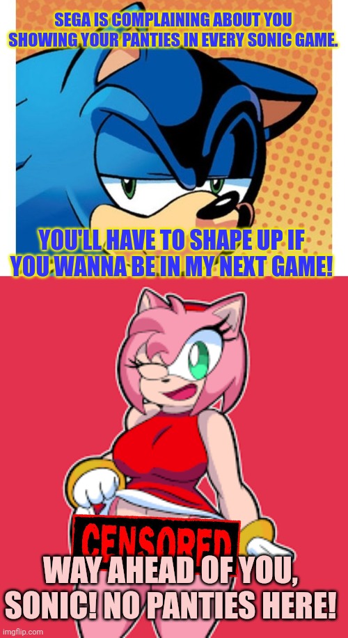 Sonic problems | SEGA IS COMPLAINING ABOUT YOU SHOWING YOUR PANTIES IN EVERY SONIC GAME. YOU'LL HAVE TO SHAPE UP IF YOU WANNA BE IN MY NEXT GAME! WAY AHEAD OF YOU, SONIC! NO PANTIES HERE! | image tagged in sonic the hedgehog,amy rose,sega,stop it get some help,sonic x amy | made w/ Imgflip meme maker