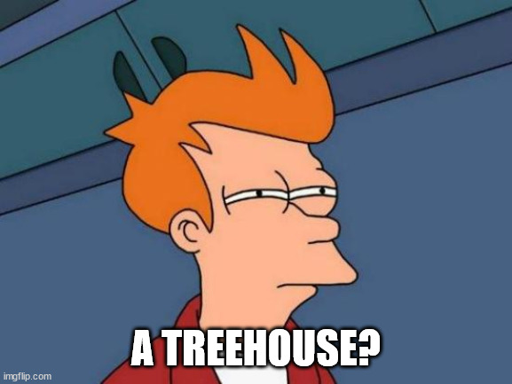 Futurama Fry Meme | A TREEHOUSE? | image tagged in memes,futurama fry | made w/ Imgflip meme maker