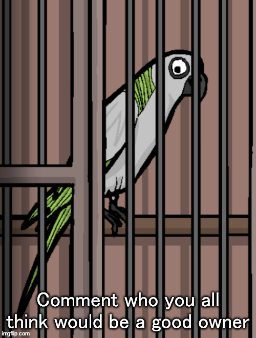 Bird on crack | Comment who you all think would be a good owner | image tagged in bird on crack | made w/ Imgflip meme maker