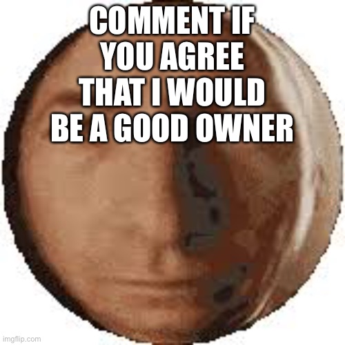 Ball goodman | COMMENT IF YOU AGREE THAT I WOULD BE A GOOD OWNER | image tagged in ball goodman | made w/ Imgflip meme maker