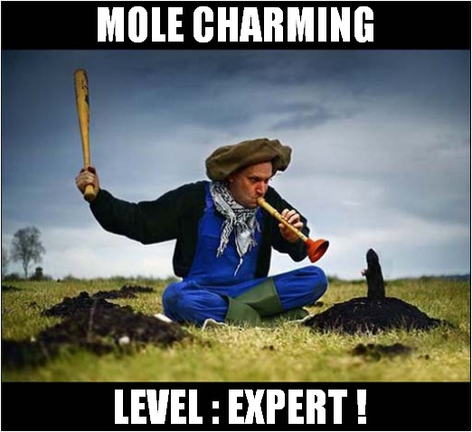 It's All In The Wrist Action ! | MOLE CHARMING; LEVEL : EXPERT ! | image tagged in mole,baseball bat,level expert,dark humour | made w/ Imgflip meme maker