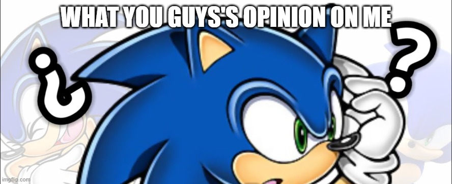 Questioning sonic | WHAT YOU GUYS'S OPINION ON ME | image tagged in questioning sonic | made w/ Imgflip meme maker