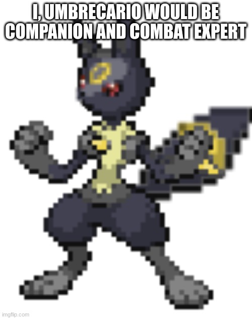 umbrecario | I, UMBRECARIO WOULD BE COMPANION AND COMBAT EXPERT | image tagged in umbrecario | made w/ Imgflip meme maker