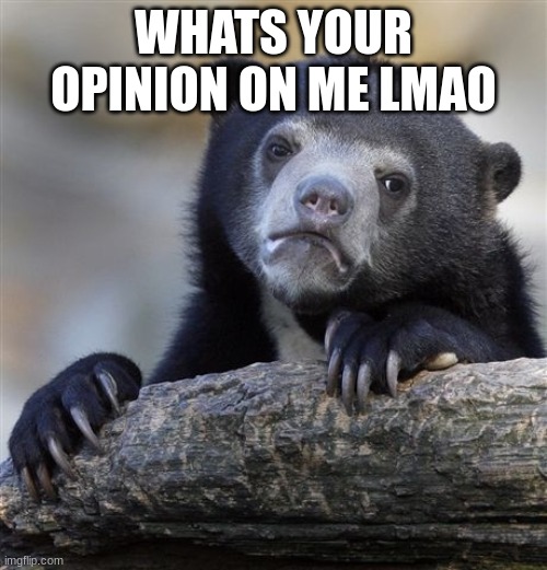 lol | WHATS YOUR OPINION ON ME LMAO | image tagged in memes,confession bear,opinions | made w/ Imgflip meme maker