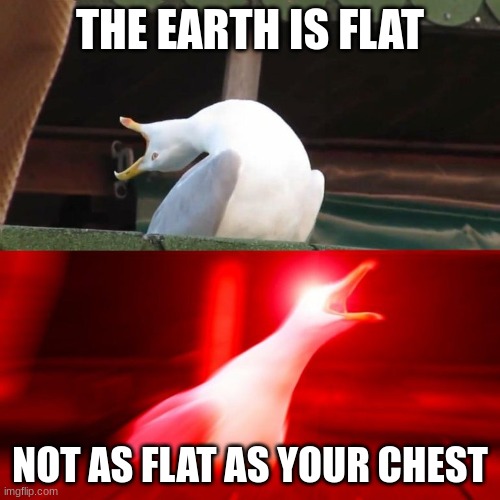 say this to any female flat earther | THE EARTH IS FLAT; NOT AS FLAT AS YOUR CHEST | image tagged in boy seagull | made w/ Imgflip meme maker