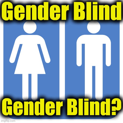Restroom Sign | Gender Blind Gender Blind? | image tagged in restroom sign | made w/ Imgflip meme maker