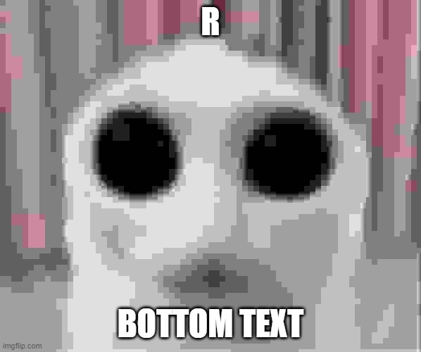 r | R; BOTTOM TEXT | image tagged in big eyed cat | made w/ Imgflip meme maker