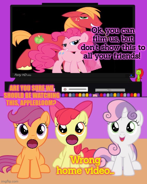 Pony home videos | Ok, you can film us, but don't show this to all your friends! ARE YOU SURE WE SHOULD BE WATCHING THIS, APPLEBLOOM? Wrong home video... | image tagged in my little pony,home videos,this is not okie dokie,big mac,pinkie pie,cmc | made w/ Imgflip meme maker