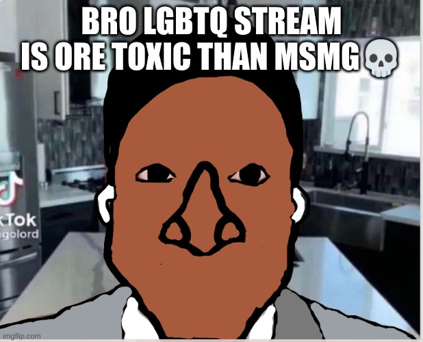 n | BRO LGBTQ STREAM IS ORE TOXIC THAN MSMG💀 | image tagged in n | made w/ Imgflip meme maker