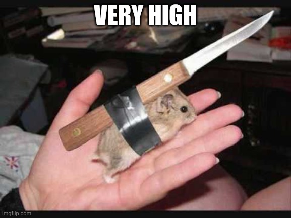 Lock and Load Hamster | VERY HIGH | image tagged in lock and load hamster | made w/ Imgflip meme maker