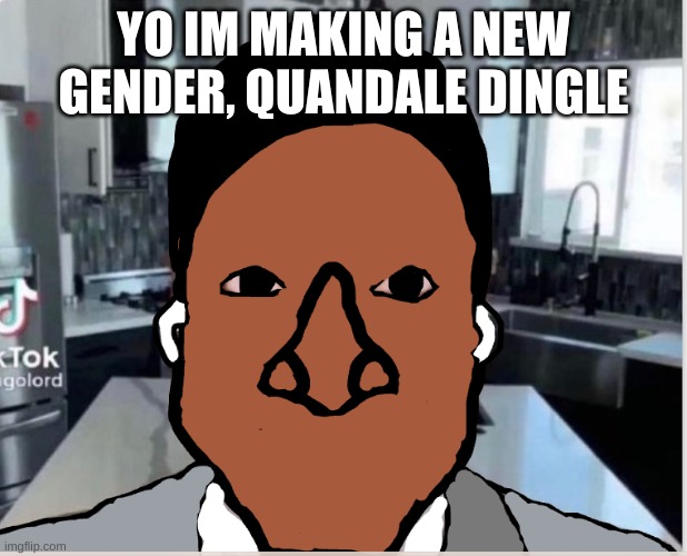 n | YO IM MAKING A NEW GENDER, QUANDALE DINGLE | image tagged in n | made w/ Imgflip meme maker